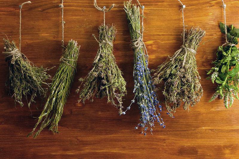 herbes médicinales suspendues