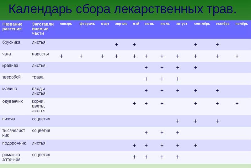 calendario de recolección de hierbas