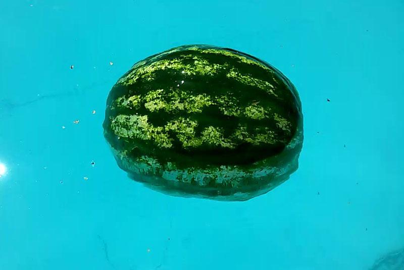 pastèque dans l'eau froide