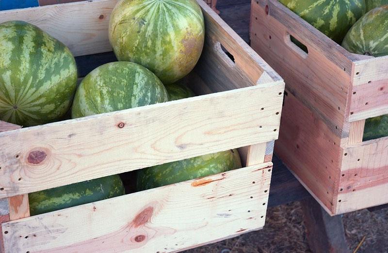 como guardar una sandia hasta el año nuevo en cajas