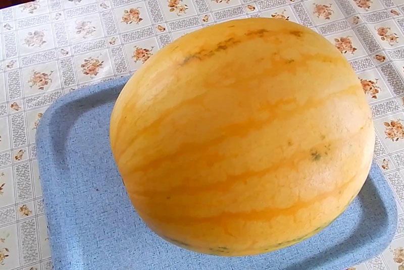 cadeau de qualité du soleil