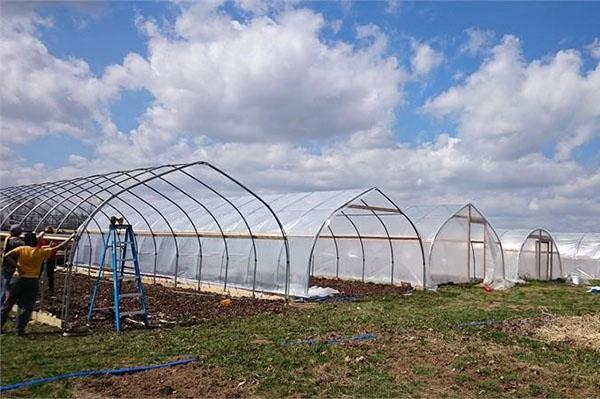 préparer des serres pour planter des légumes