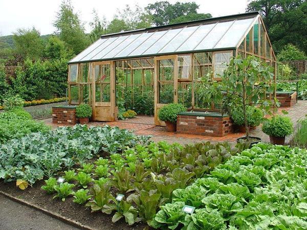 condiciones confortables y seguras para las plantas