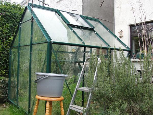 el invernadero está listo para funcionar