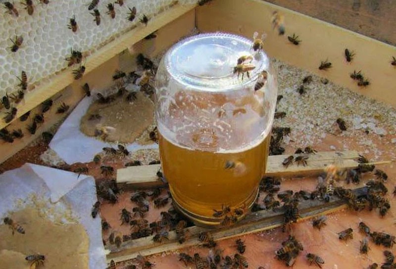 ce qui rend le miel rassasié