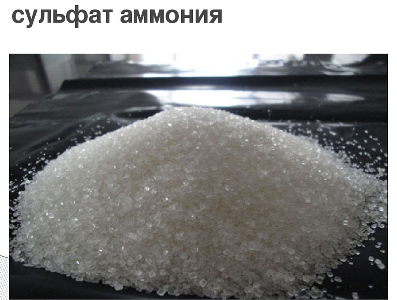 sulfate d'ammonium