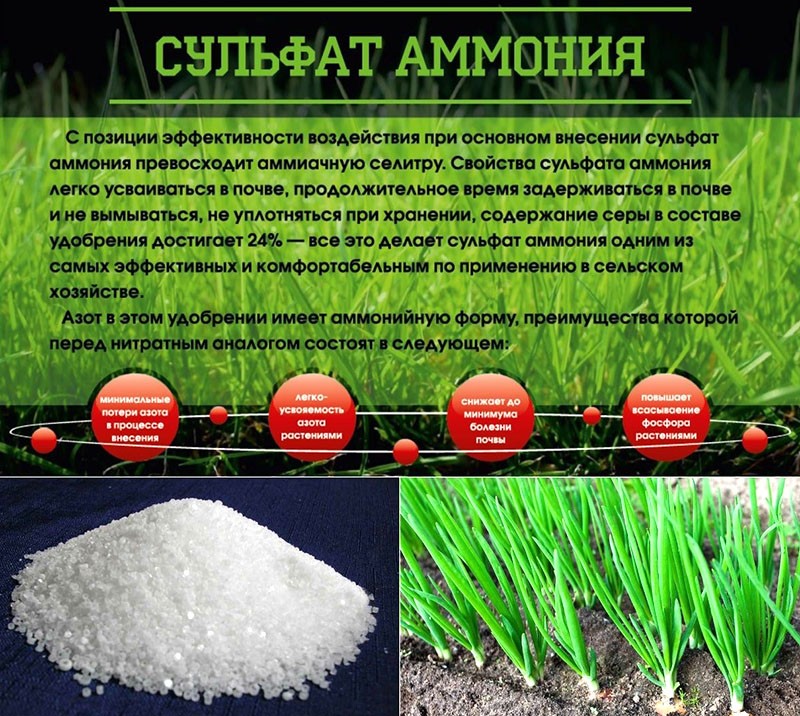 propriétés du sulfate d'ammonium