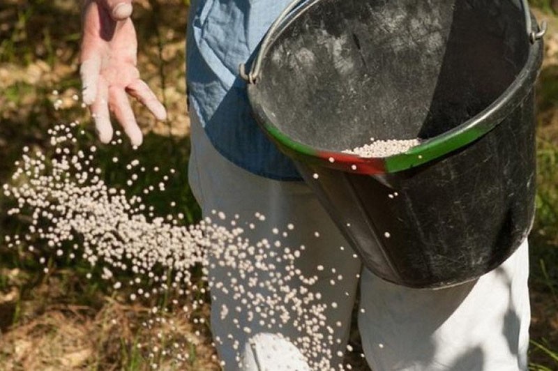 quel est le meilleur moment pour fertiliser