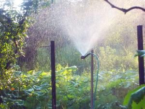 Sistema de riego de jardín semiautomático