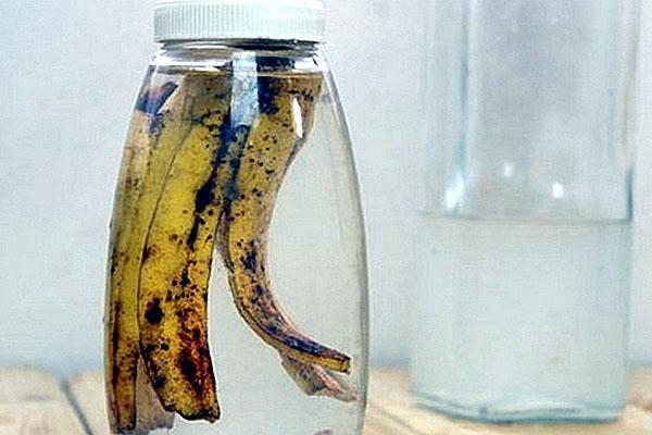 infusion de peau de banane