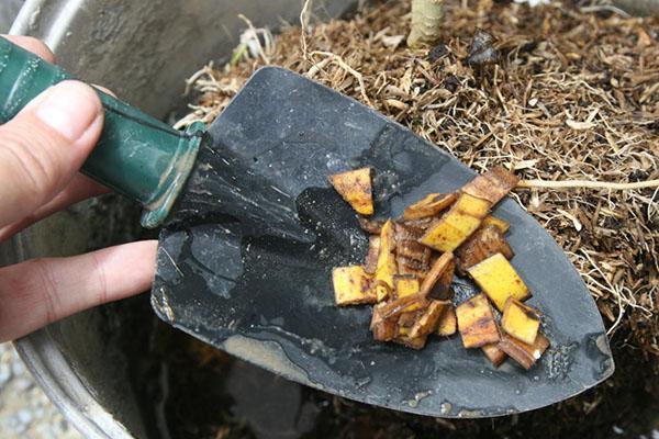 appliquer la peau sous forme hachée