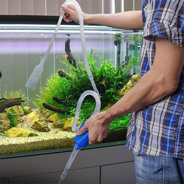 eau d'aquarium