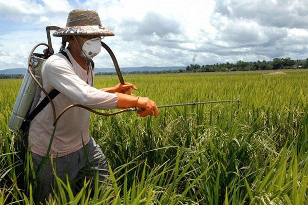 equipo de protección personal cuando se trabaja con drogas