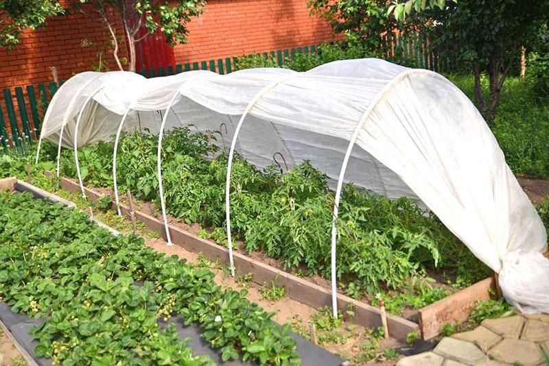el uso de agrofibra en jardineras