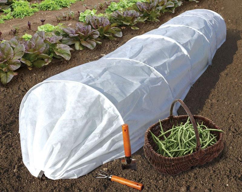 agrofibra blanca