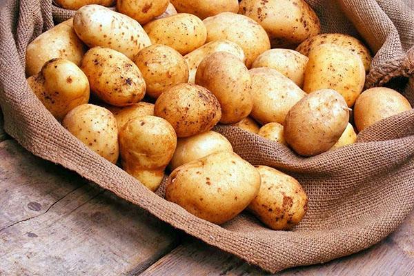 transformation des pommes de terre avant la plantation