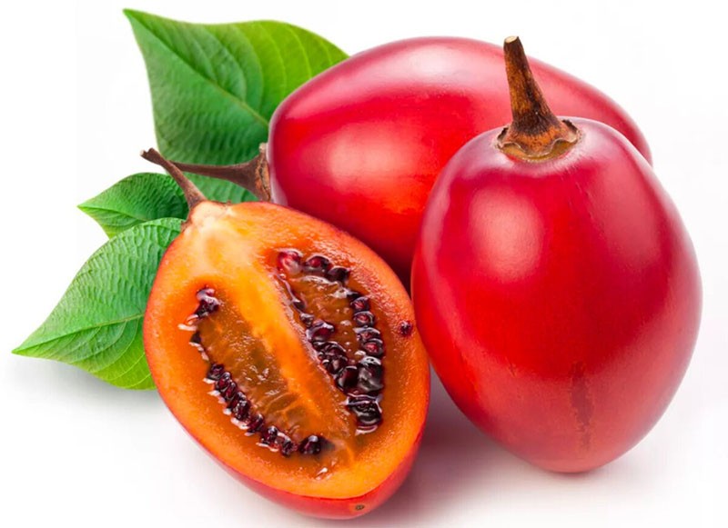fruit d'un arbre de tomate dans une coupe