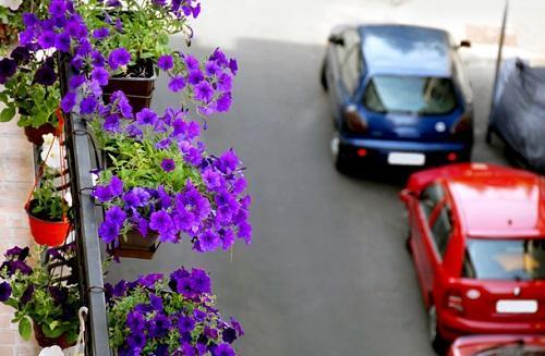 balcon fleuri