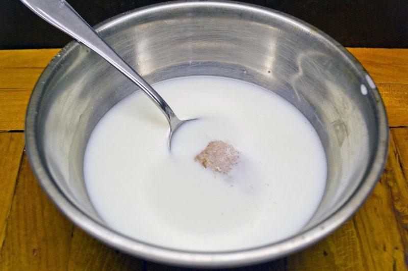 diluir levadura en leche