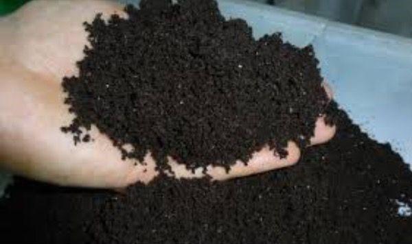 turba para vermicompost