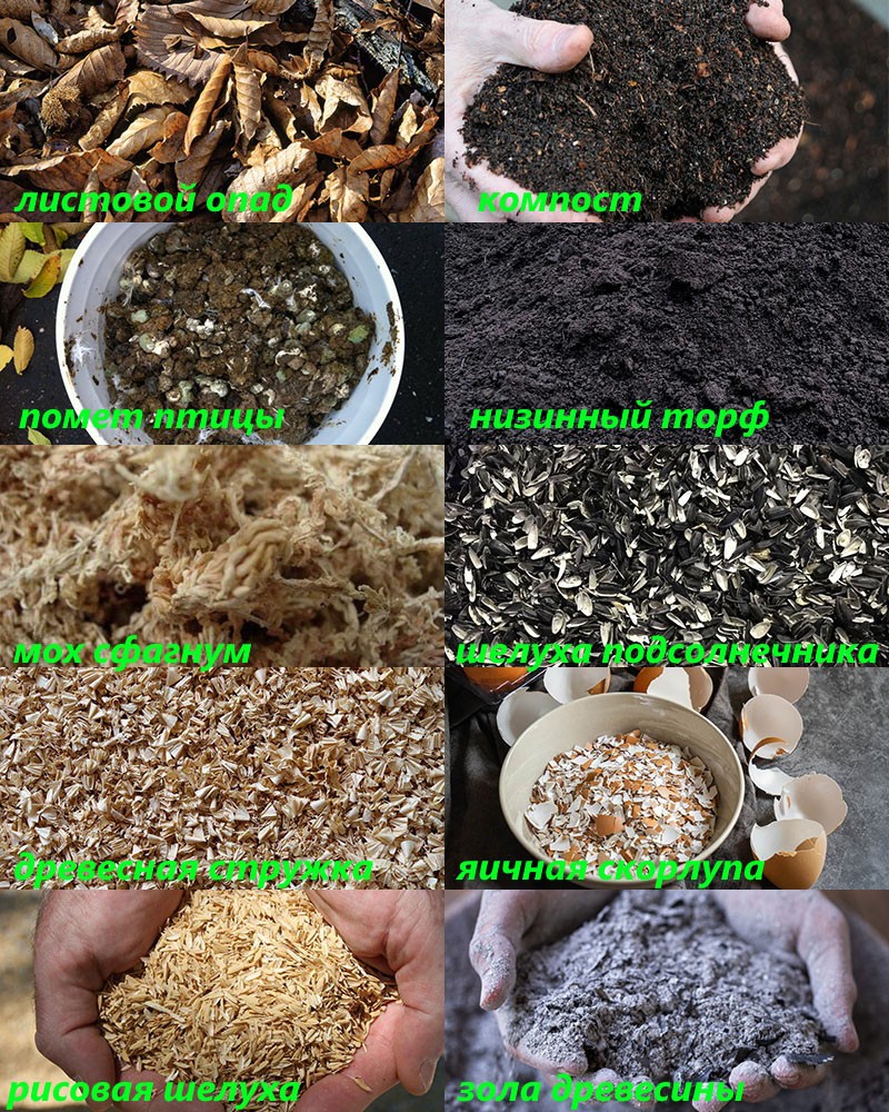 componentes orgánicos de un suelo de calidad