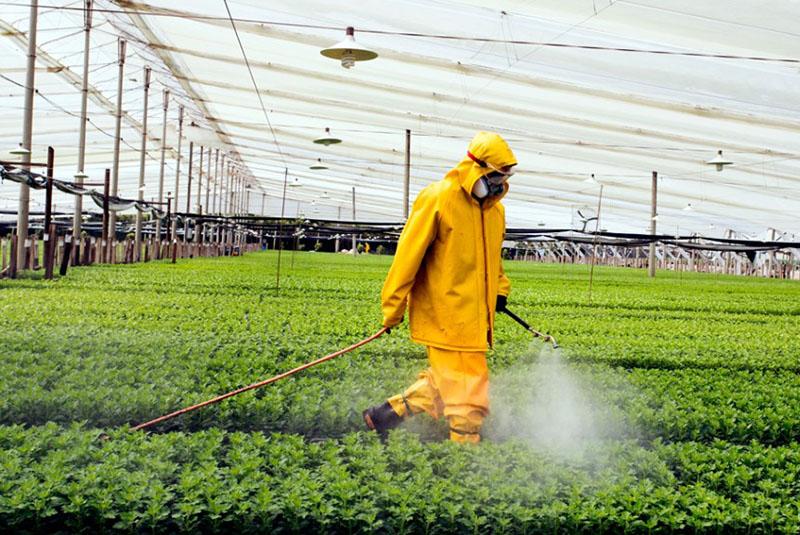 précautions de sécurité pour travailler avec de l'eau ammoniacale