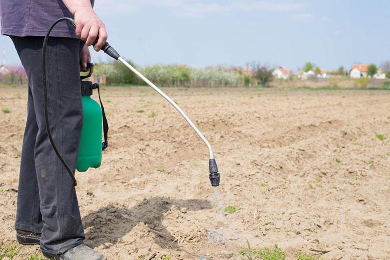 tratamiento del suelo con herbicida stomp