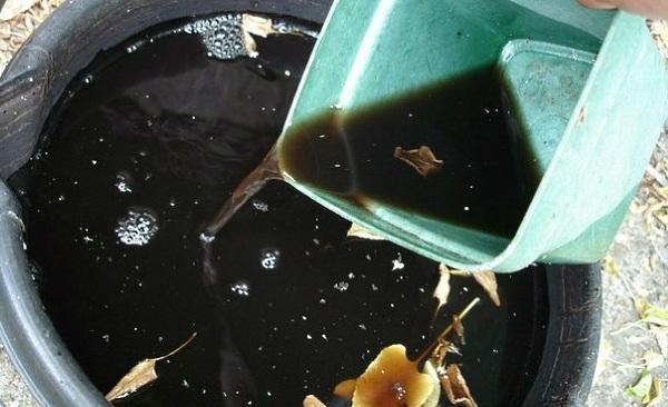 fertilizante líquido orgánico