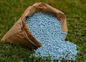 granular