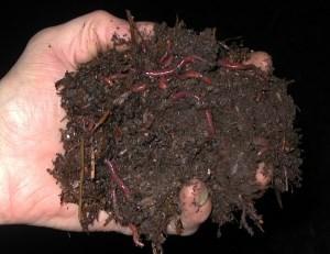 fertilizante orgánico