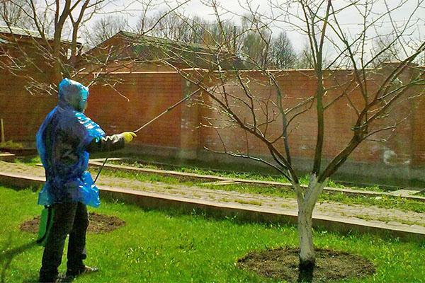 traitement des arbres au karbofos