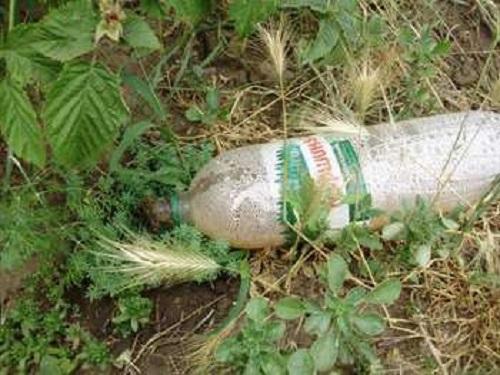 arroser sans enterrer la bouteille