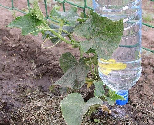 système d'irrigation par aspersion