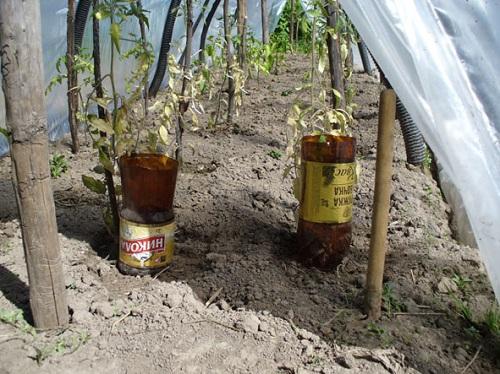 regando de una botella