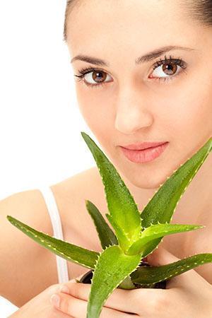 El jugo de aloe se usa como un agente antiinflamatorio para la supuración, exudación de erupciones cutáneas, piel seca