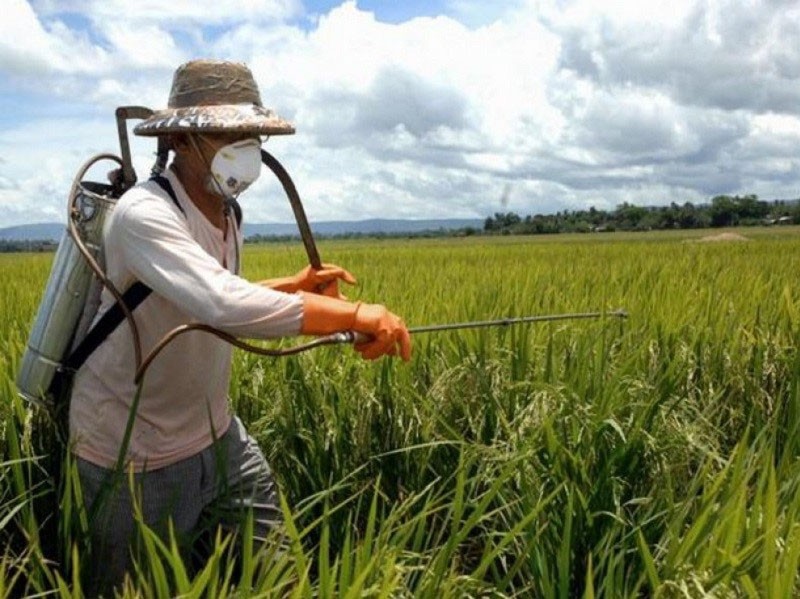 application d'herbicide de contact