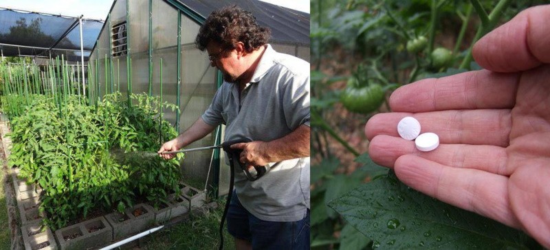 receta de solución de tratamiento de plantas