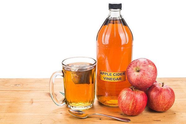 baisser la température avec du vinaigre de cidre