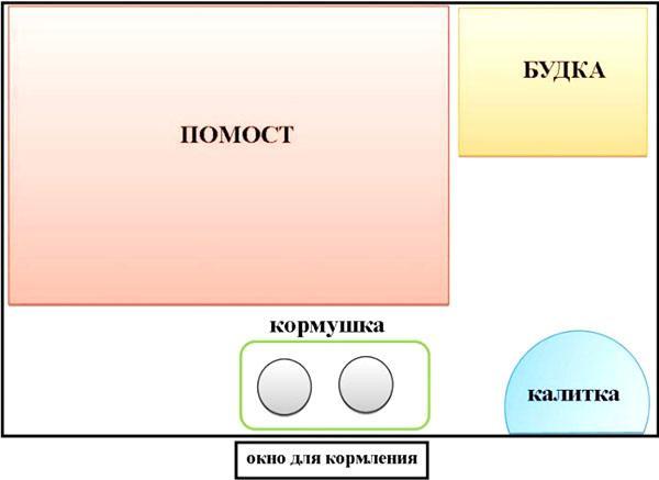 option de placement d'objet