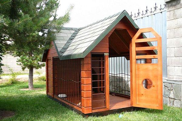 ubicación del recinto para perros