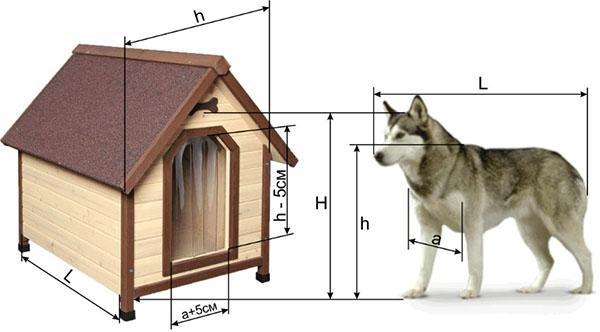 la taille de la cabine dépend de la taille de l'animal