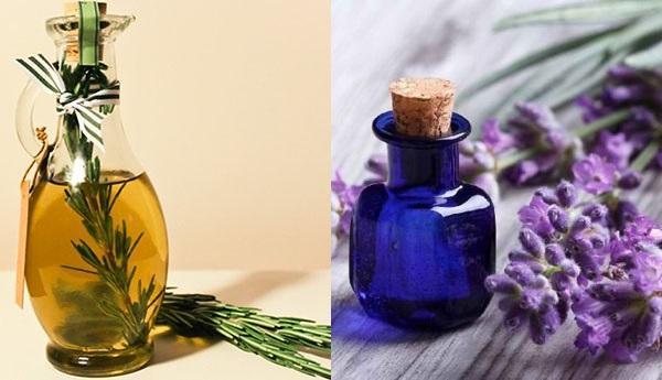 aceite de romero y aceite de lavanda