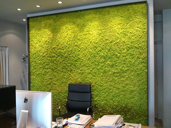 pared de la oficina hecha de musgo real