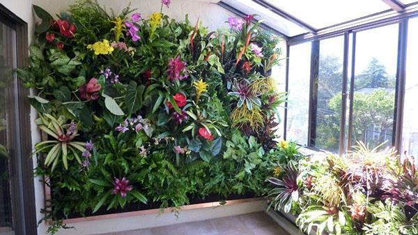 pared viva de plantas con flores