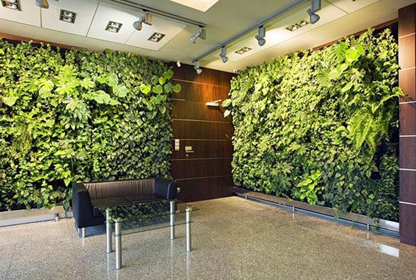 paredes vivas de diferentes plantas.