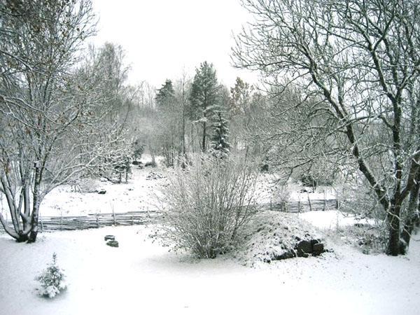 Jardín de invierno