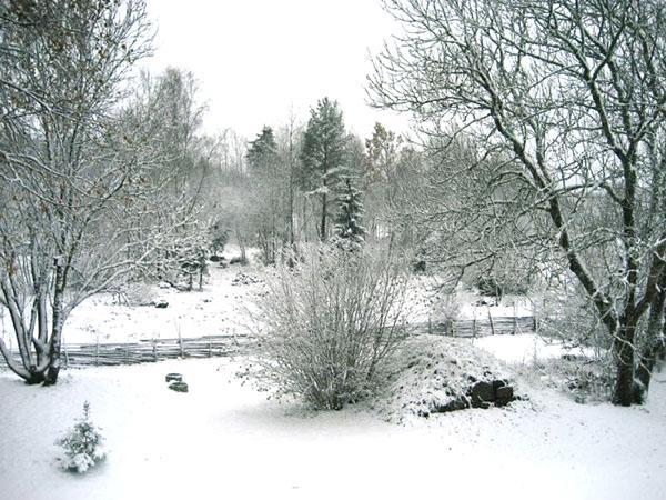 jardin d'hiver