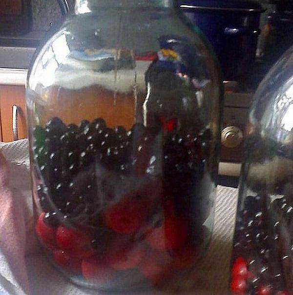 poner manzanas y moras en frascos