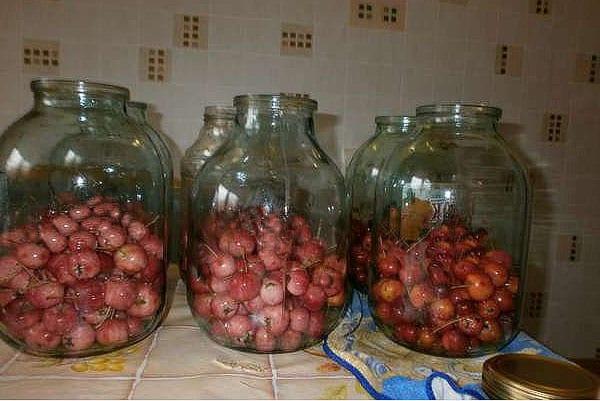 poner manzanas en frascos esterilizados