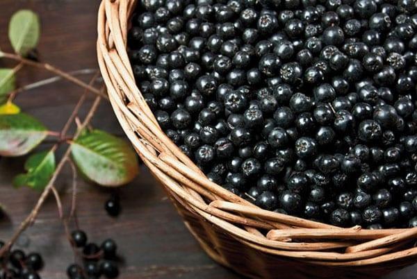 preparar moras para compota